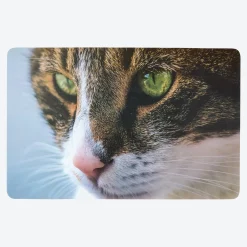 NKD Platz-Set mit Katzen-Fotodruck, ca. 43,5x28,2 cm