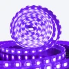 NKD SoundLogic LED-Lichtband, ca. 5m